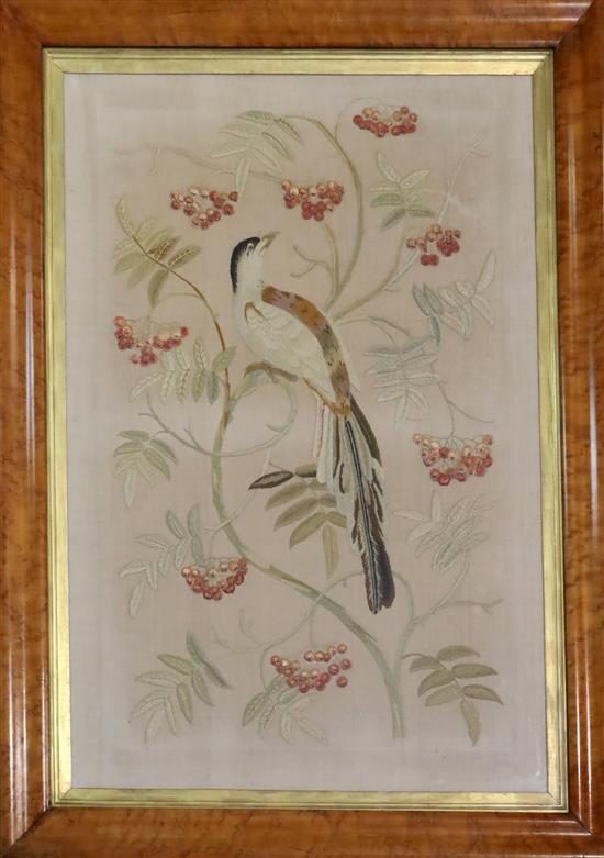 A Victorian needlework panel depicting a bird perched upon fruiting rowan branches, 29 x 20in., maple framed